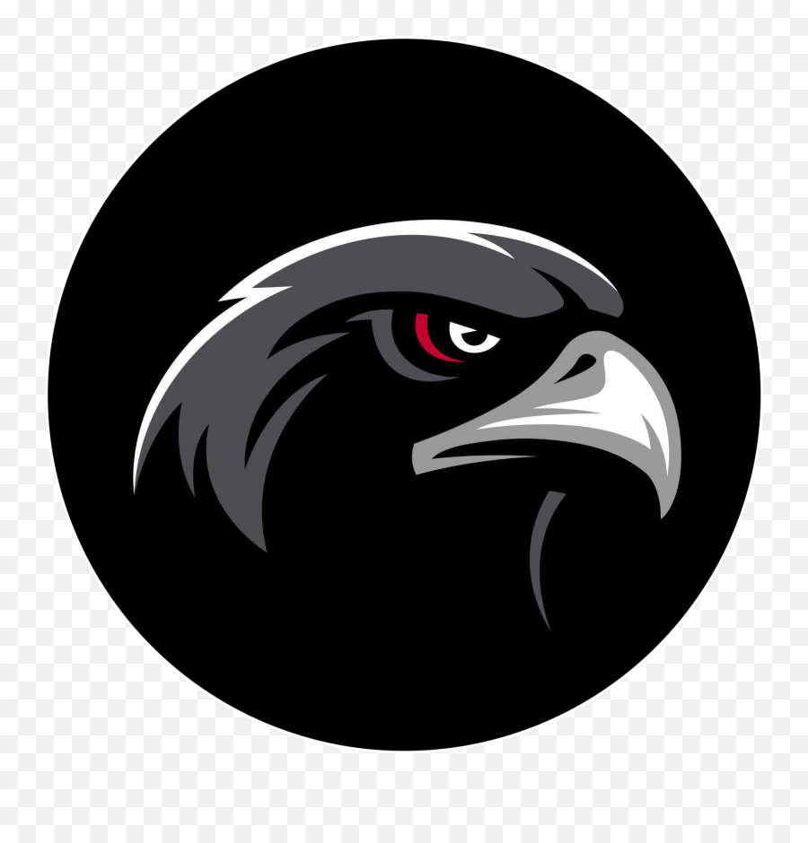 Team Home Sheridan Blackhawks Sports - Sheridan High School Indiana Png,Blackhawks Logo Png