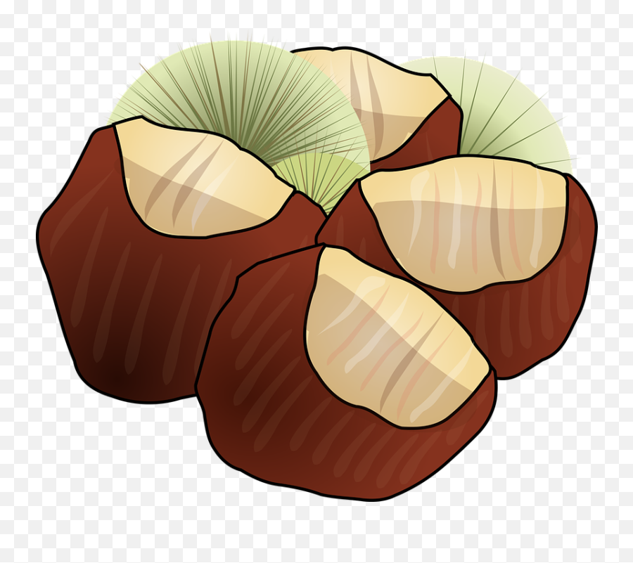 Download Hd Hazelnut Png Clipart - Chestnuts Clipart,Hazelnut Png