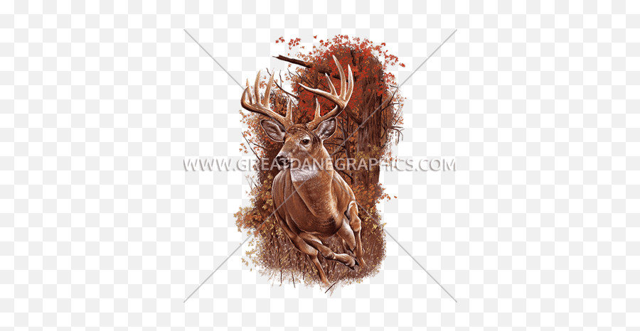 Download Hd Running Buck - Decal Transparent Png Image Reindeer,Buck Png