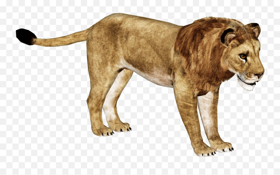 African Lion Png Hd Mart - Zoo Tycoon Lion,Lion Head Png