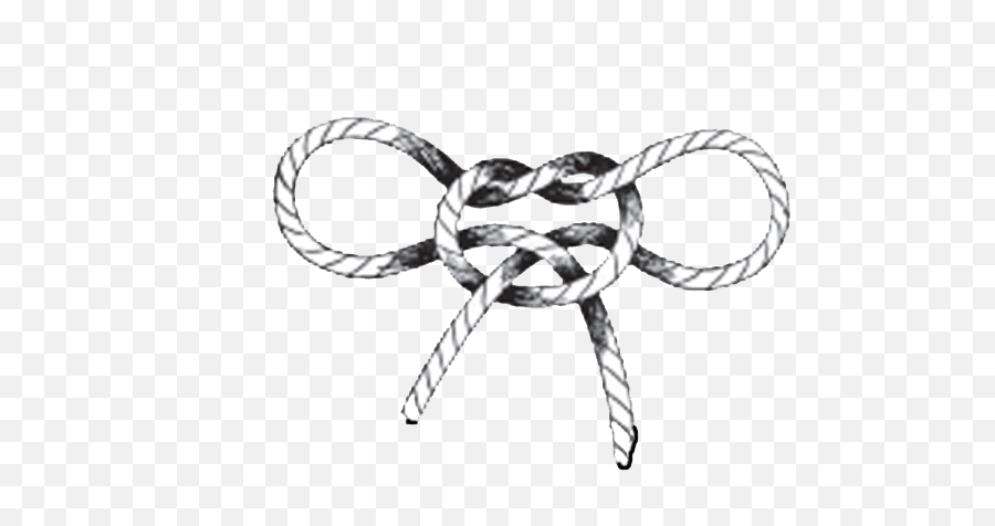 Drawn Rope Love Knot - True Love Knot Drawing Transparent Knot Drawing Png,Rope Knot Png