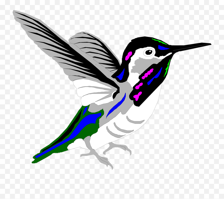 Free Bird Png - Multicolored Bird Png High Quality Image Kartun Burung Kolibri,Hummingbird Transparent Background