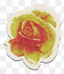 Flowers Petals Blossom Retro Vector - Garden Roses Png,Retro Png