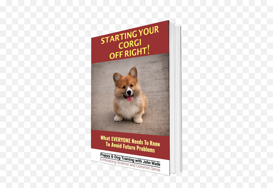 Starting Your Corgi Off Right - Pembroke Welsh Corgi Png,Corgi Png