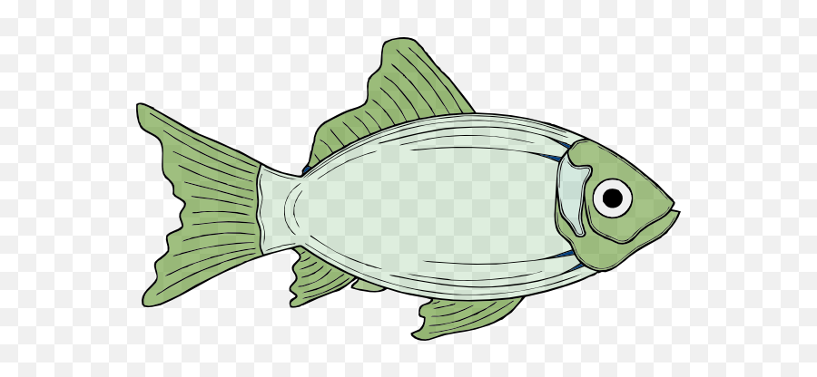 Cod Fish White Png Clip Arts For Web - Clip Arts Free Png Cod Fish Clipart,Cod Png