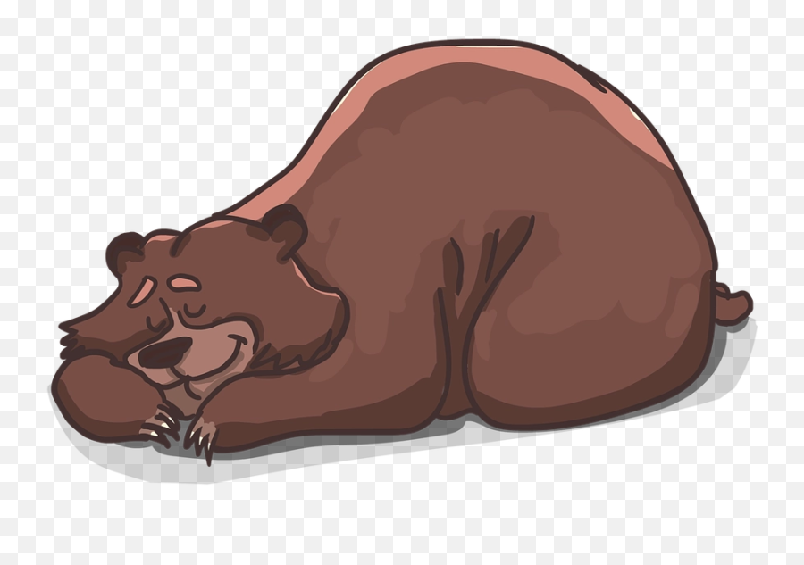 Download Free Png Photo Grizzly Lies Sleeps Resting - Bear Sleeping Clipart,Shaggy Transparent