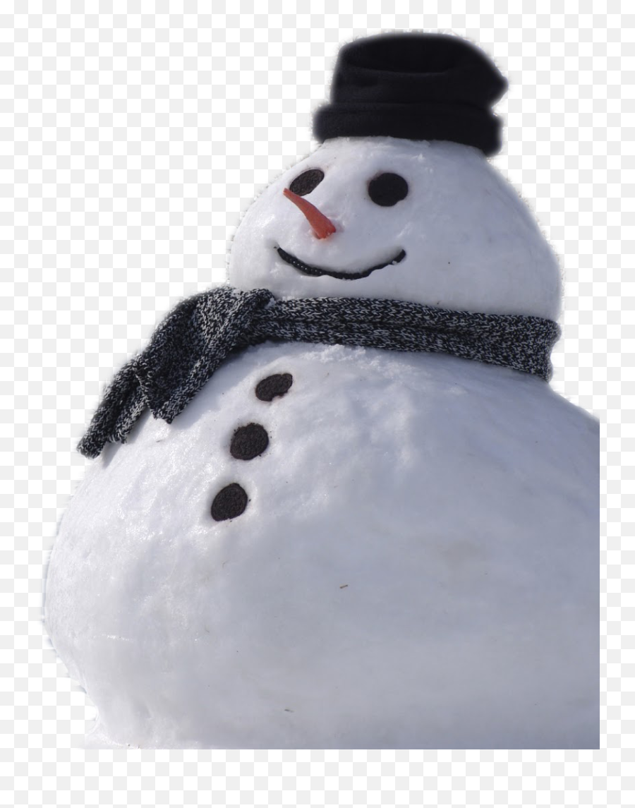Snowman Real Transparent Png - Real Snowman Png,Snowman Transparent