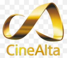 What If Braylon Films - Cinealta Png,Trolls Movie Logo