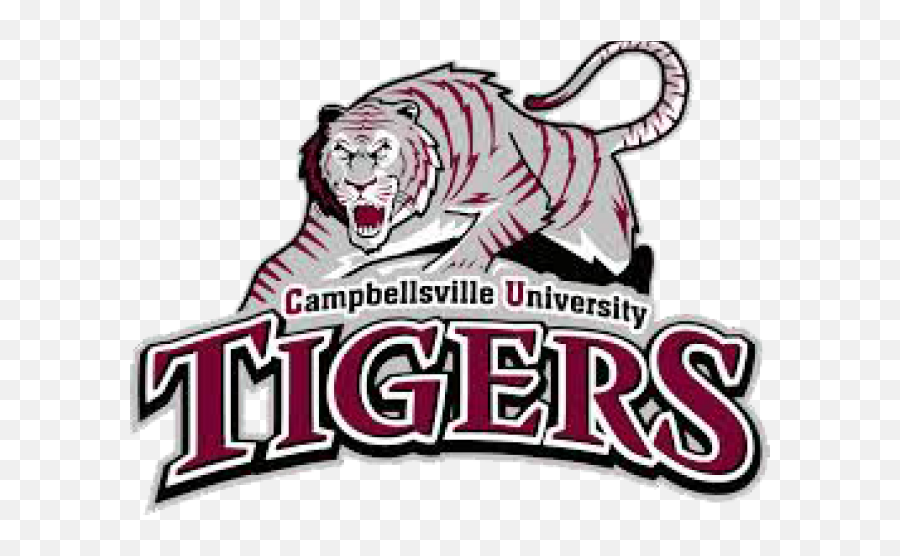 Tigres Clipart Tigers Softball - Campbellsville University Campbellsville University Football Logo Png,Tigres Logo