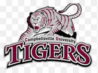 Tigres Clipart Tigers Softball - Campbellsville University Campbellsville University Football Logo Png,Tigres Logo