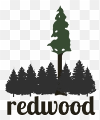 Download Redwood Tree Clip Art - Redwood Trees Transparent Png,Redwood Tree Png