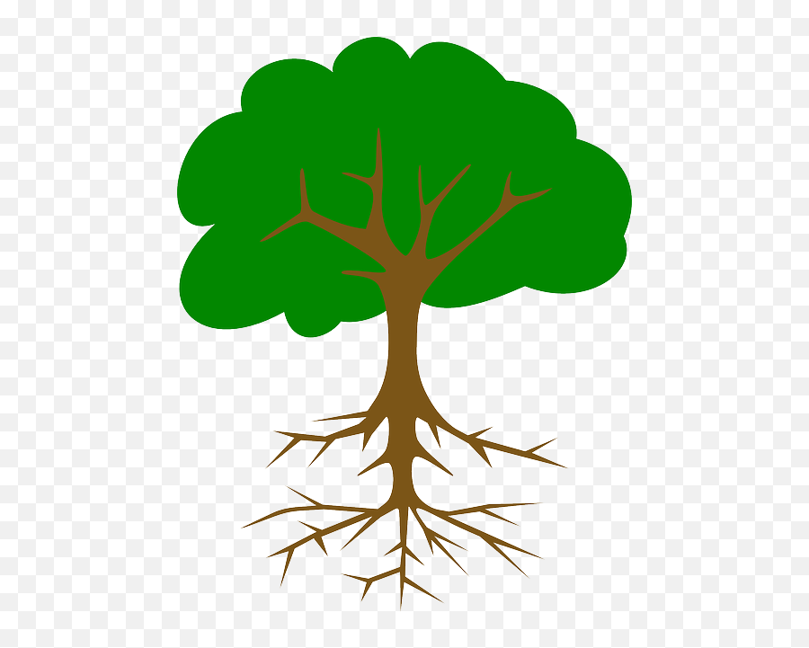 Green Tree Roots - Tree Clip Art Png,Tree Root Png