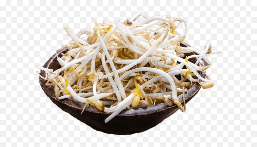 Bowl Of Soybean Sprouts Icons Png - Soy Bean Sprouts Png,Bean Sprout Icon