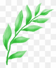 About Greenfingers Landscaping - Twig png
