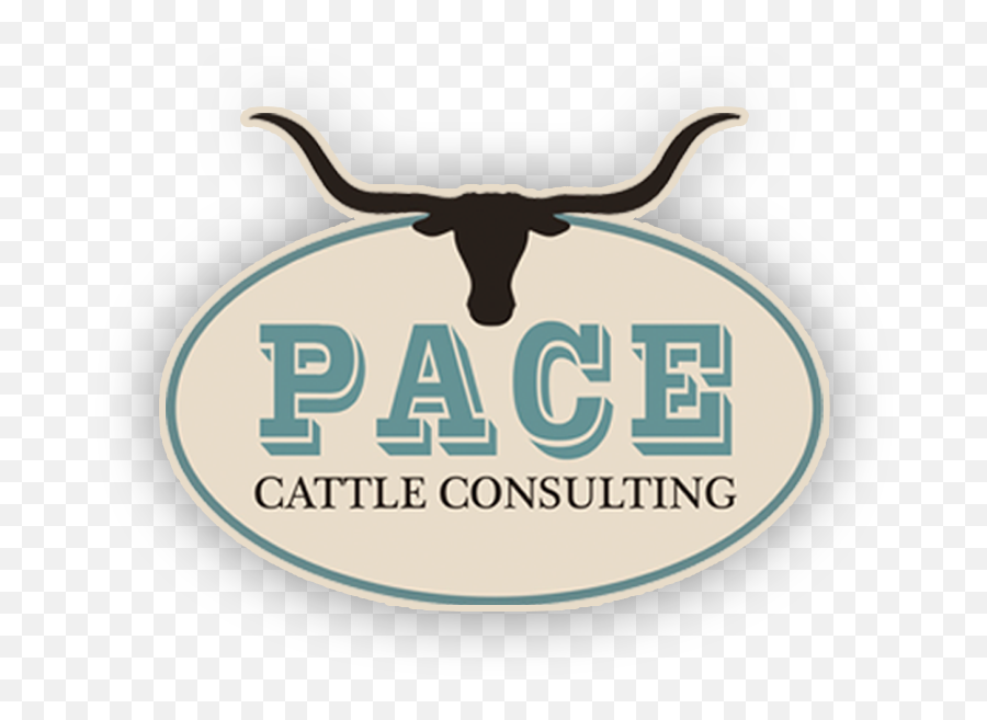 Pace Cattle Consulting Png Longhorn Icon