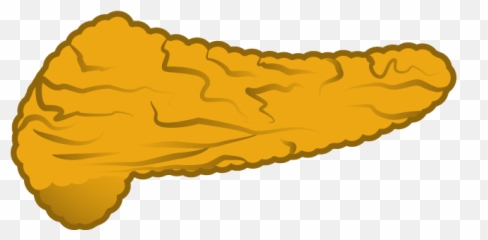 Reactome - Drawing png