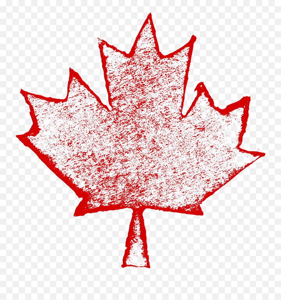 6 Grunge Maple Leaf Png Transparent Onlygfxcom Canada