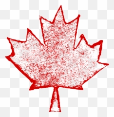 6 Grunge Maple Leaf Png Transparent Onlygfxcom