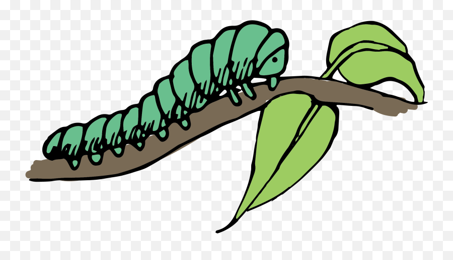 Caterpillar Clip Art - Caterpillars Clipart Png,Caterpillar Transparent Background