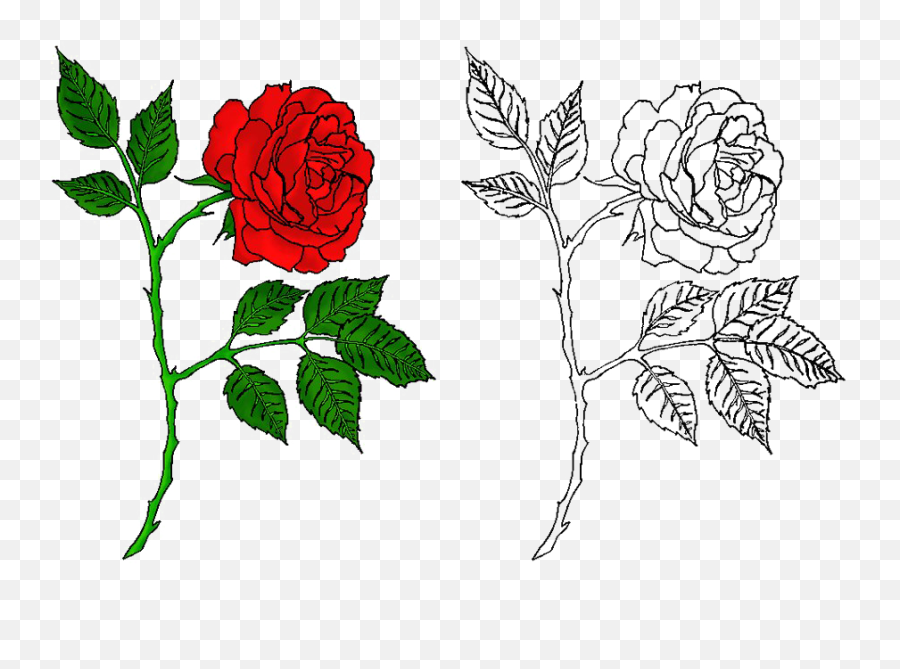Rose Tattoo Png Free Download - Transparent Rose Image Png,Rose Tattoo Png