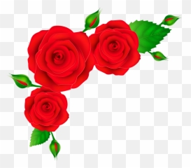 Roses Transparent Clipart Png