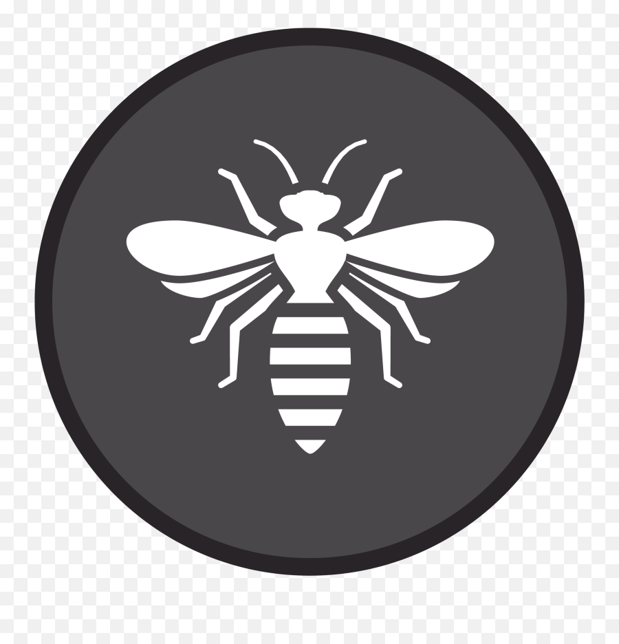 Bees And Swarming Insects - Boou0027s Bug Stoppers Insects Logo Png,Bee Icon