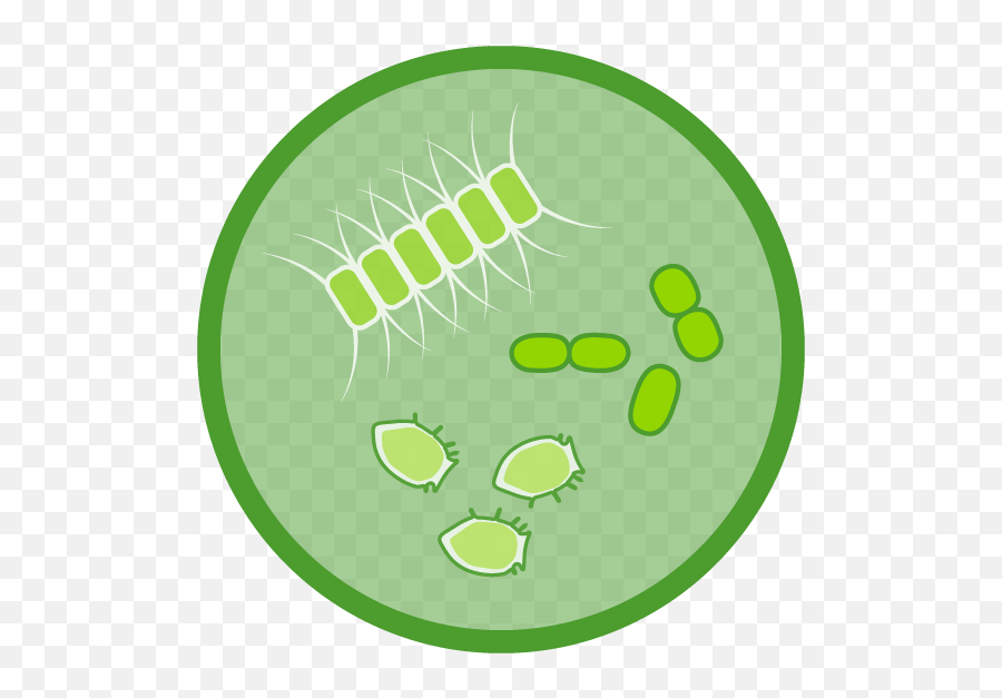 Chlorophyll A National Marine Ecosystem Status - Chlorophyll Ecosystem Png,Dayz Germ Icon