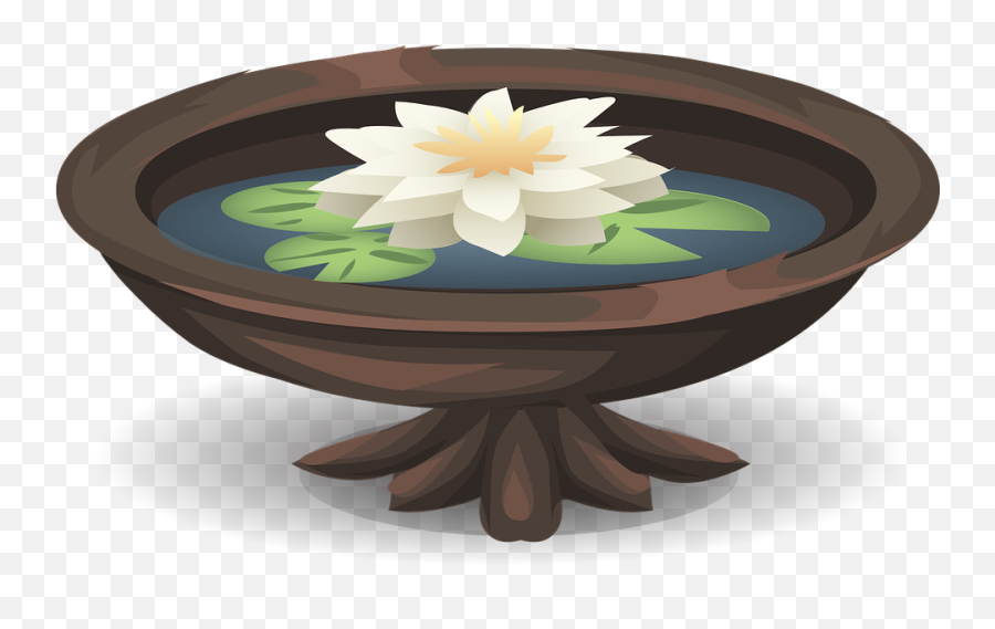 Download Free Png Water Lily Pond Vector Graphic - Lotus On Water Png,Pond Png