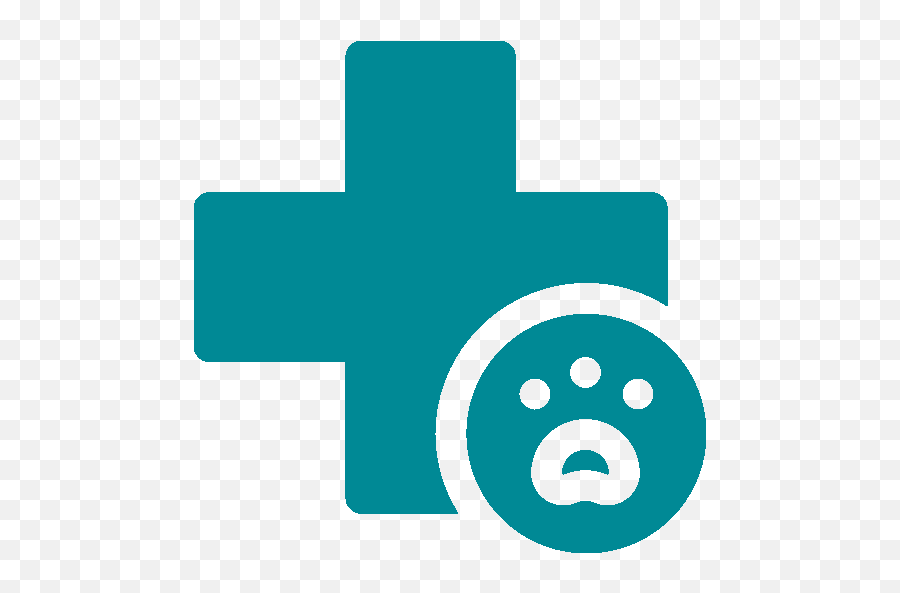 Services Intriquip - Dot Png,Veterinarian Icon