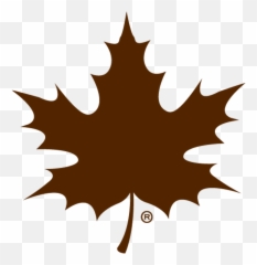 Maple Craft Foods - Transparent Background Leaf Clip Art png