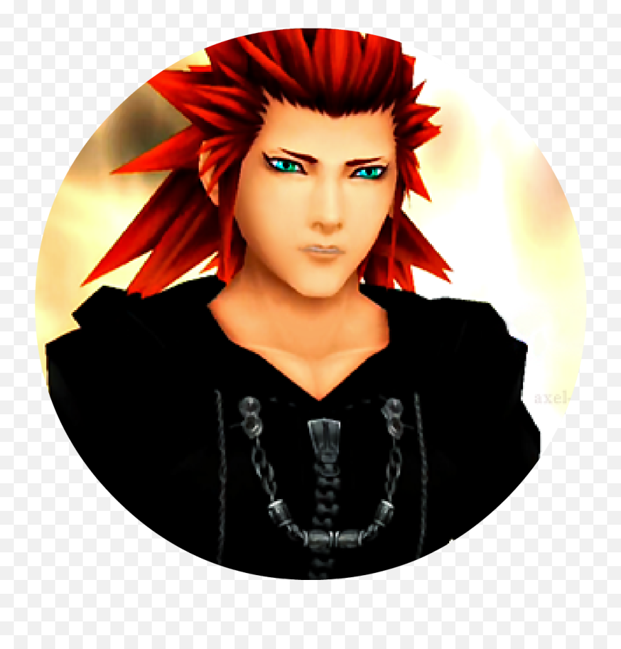 Kingdom Hearts Surveys And Other Stuff - Organization Xiii Final Fantasy Red Hair Png,Kingdom Hearts 2 Icon