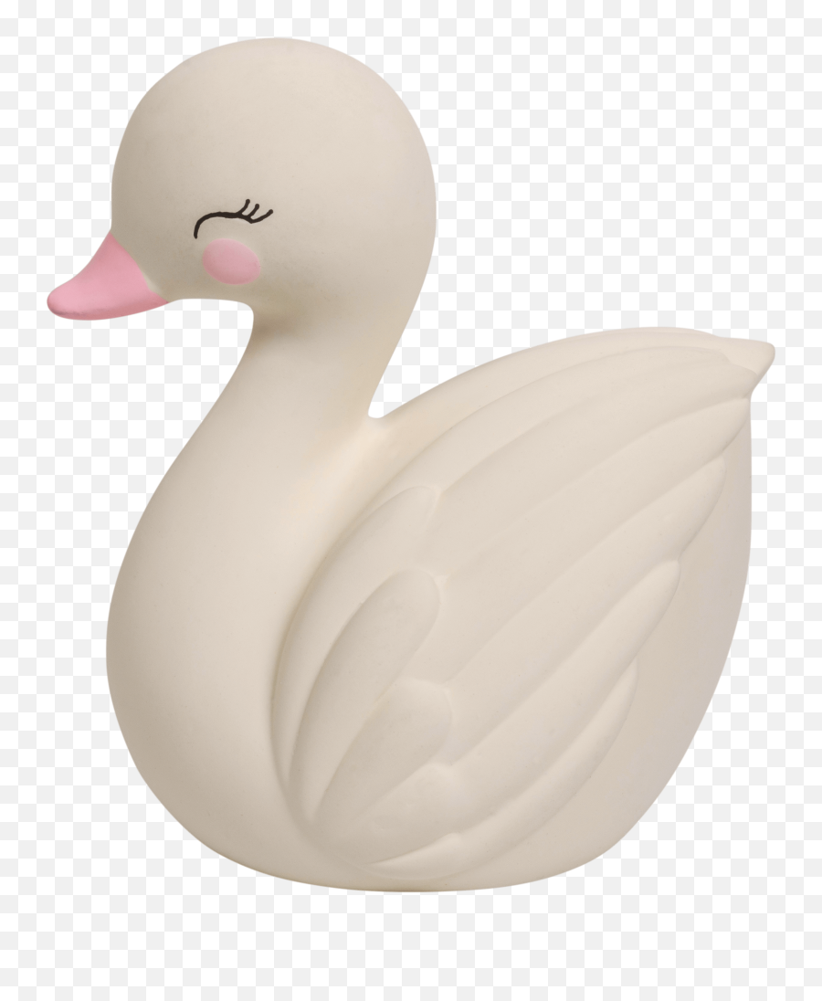 Mordedor Cisne - Duck Png,Swan Png