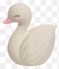Mordedor Cisne - Duck Png,Swan Png