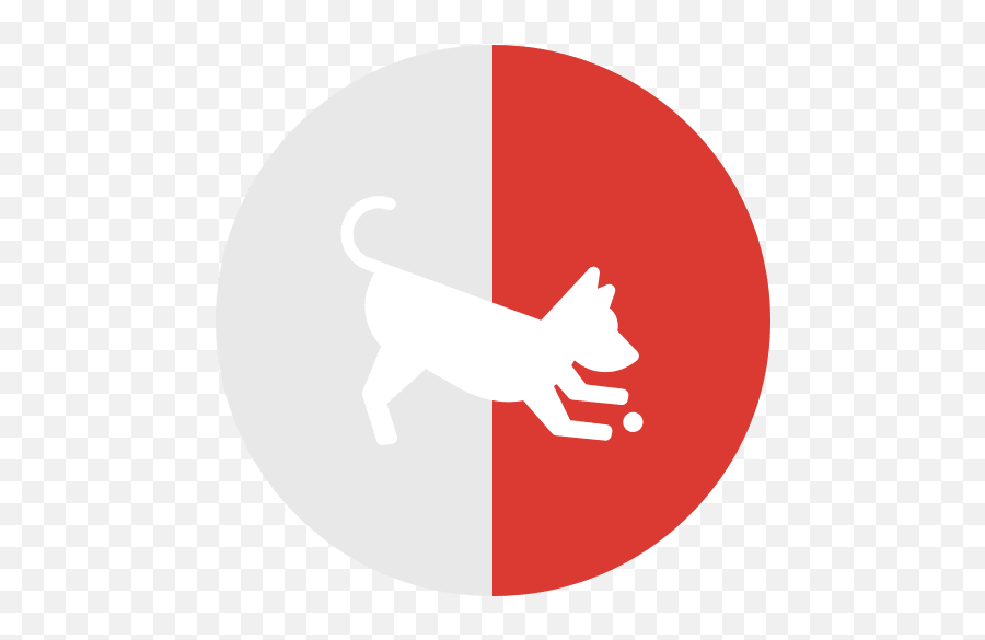 Dog Daycare Grooming U0026 Cat Boarding Boulder The Png Icon
