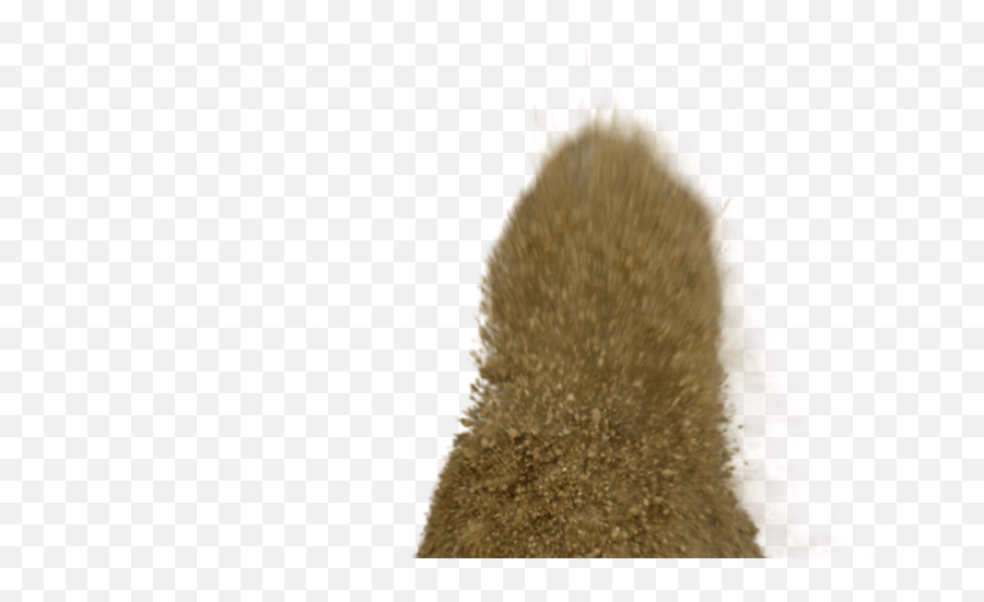 Pictures V - Christmas Tree Png,Sand Png