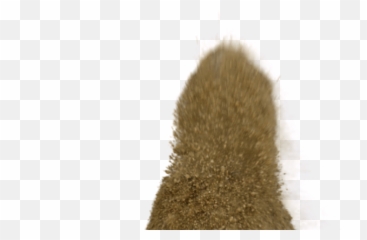 Pictures V - Christmas Tree Png,Sand Png