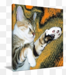 Super Nala By Amy Thompson - Domestic Cat Png,Nala Png