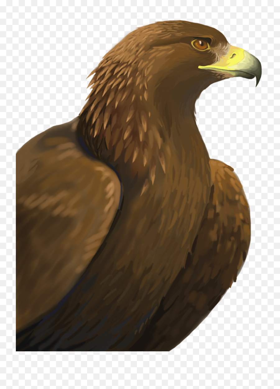Golden Eagle Png 4 Image - Transparent Golden Eagle Png,Golden Eagle Png