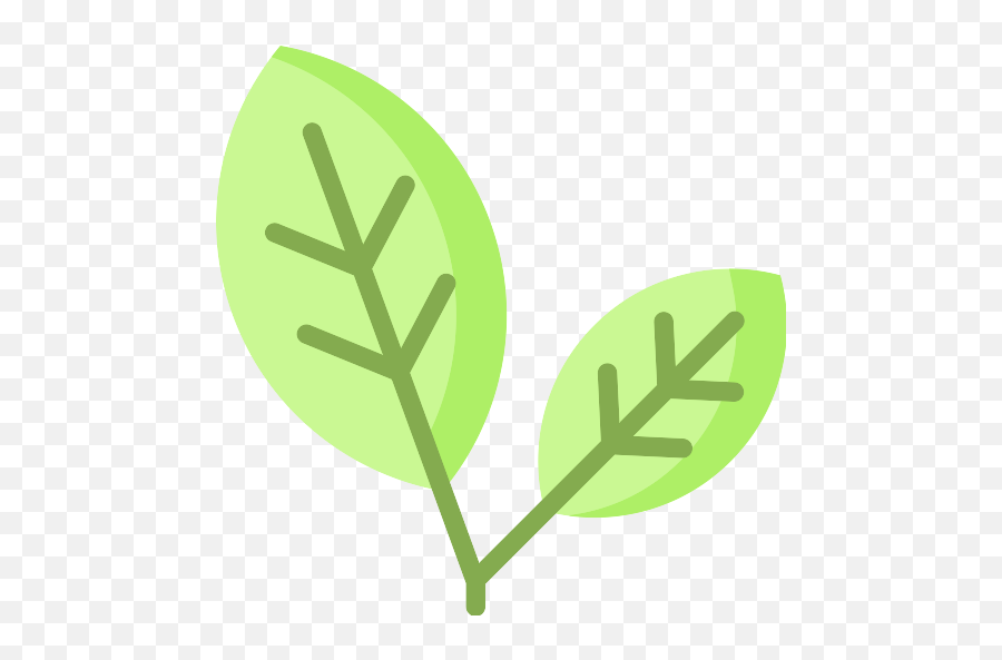 Leaves Leaf Png Icon - Png Repo Free Png Icons Circle,Tea Leaves Png