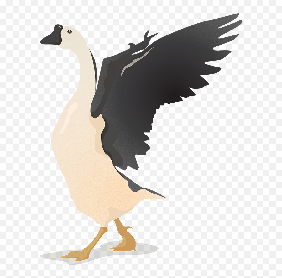 Download Flat Vector Birds - Transparent Geese Illustration Png,Goose Png