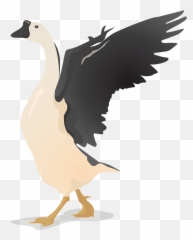 Download Flat Vector Birds - Transparent Geese Illustration Png,Goose Png