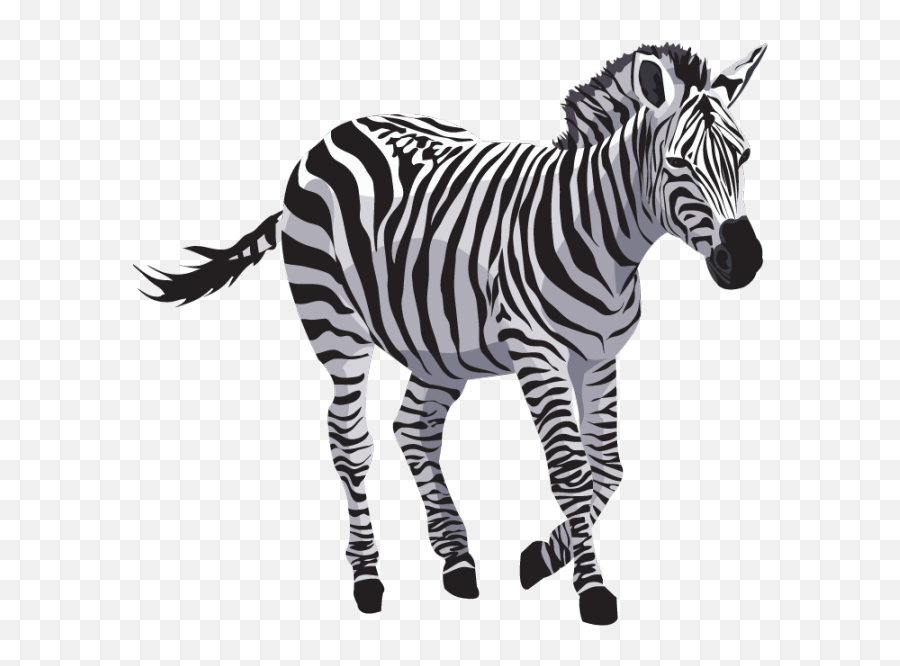 Download Zebra Png File - Zebra Transparent,Zebra Transparent Background