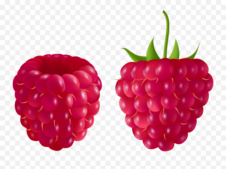 Free Raspberry Cliparts Download - Raspberry Clipart Transparent Png,Raspberries Png