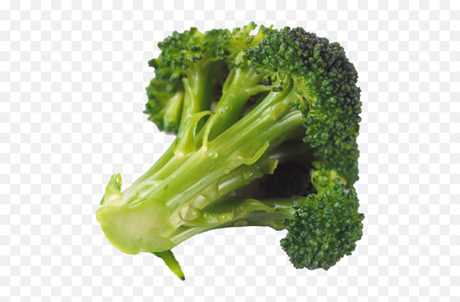 Download 044 - Brocoli Vegetal Que Parece Arvore Png Image Vegetal Que Parece Uma Arvore,Brocoli Png