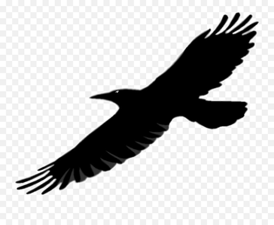 Library Of Flying Raven Picture Royalty Free Download Png - Bird Wings,Raven Silhouette Png