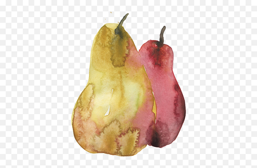 Download Pears - Sm Pear Full Size Png Image Pngkit Watercolor Paint,Pears Png