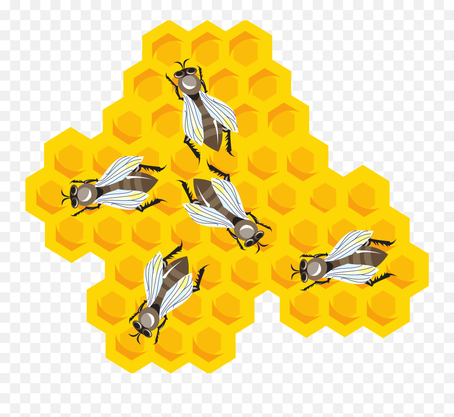 Bees - Honeycomb Png,Honey Comb Png