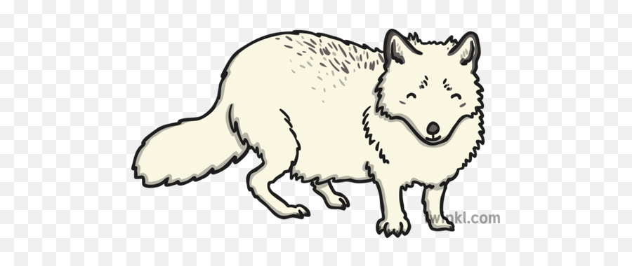 Arctic Fox 1 Illustration - Zorro Artico Para Colorear 2 Primaria Png,Arctic Fox Png