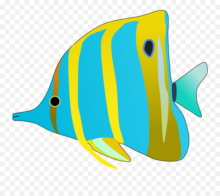 Butterfly Fish Aquarium - Free Vector Graphic On Pixabay Peixes Em Desenho Png,Aquarium Png