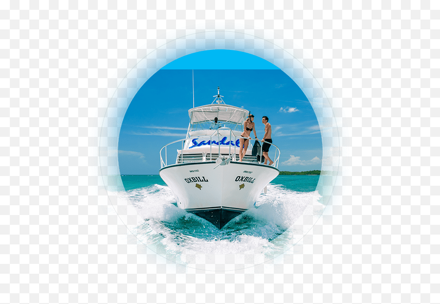 New Sandals Fleet Dive Boats U0026 Glass Bottom - Sea Png,Boat Transparent